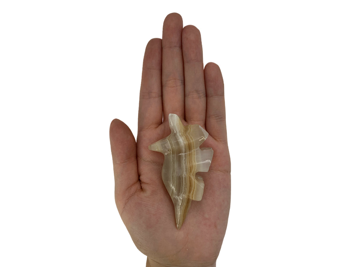 Amber Onyx Triceratops