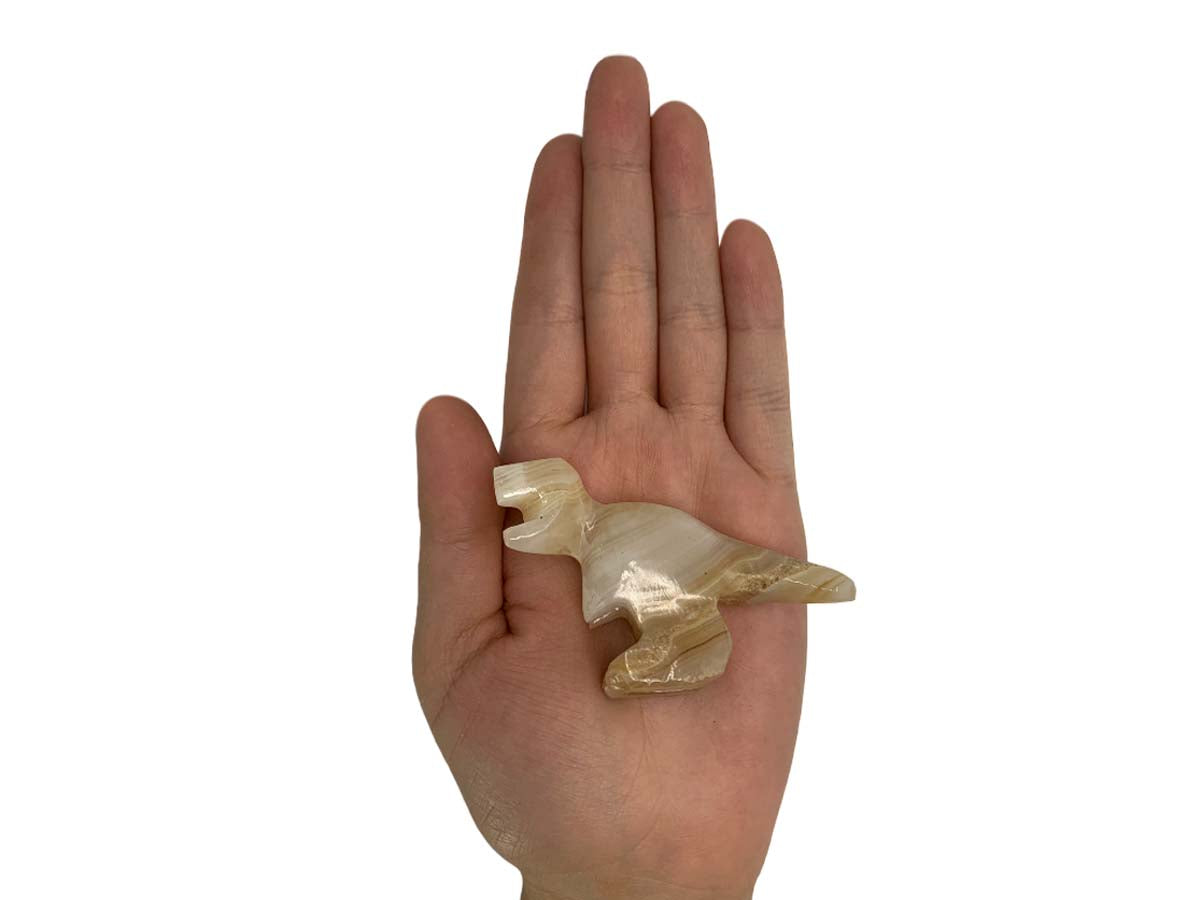 Amber Onyx Tyrannosaurus Rex