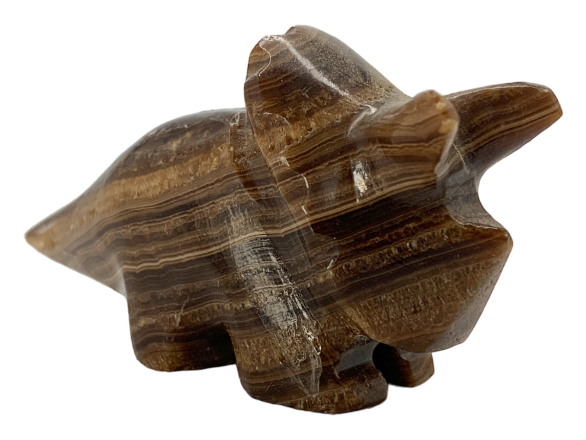 Brown Onyx Triceratops