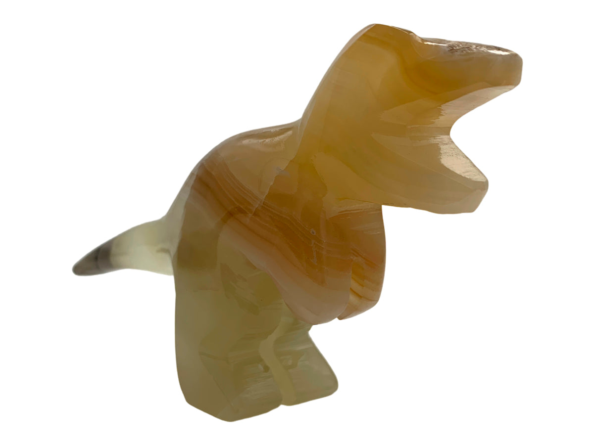 Amber Onyx Tyrannosaurus Rex