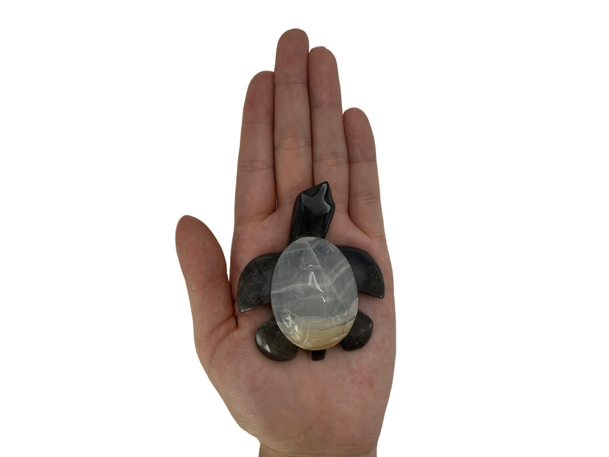 Small Black Onyx Sea Turtle with Shell