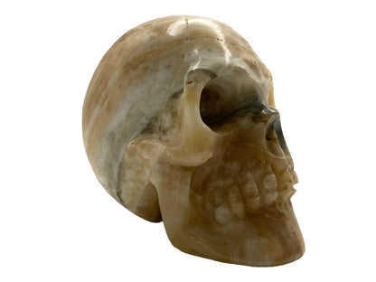 Amber Onyx Skull