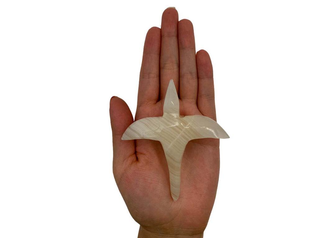 Onyx Pterodactyl