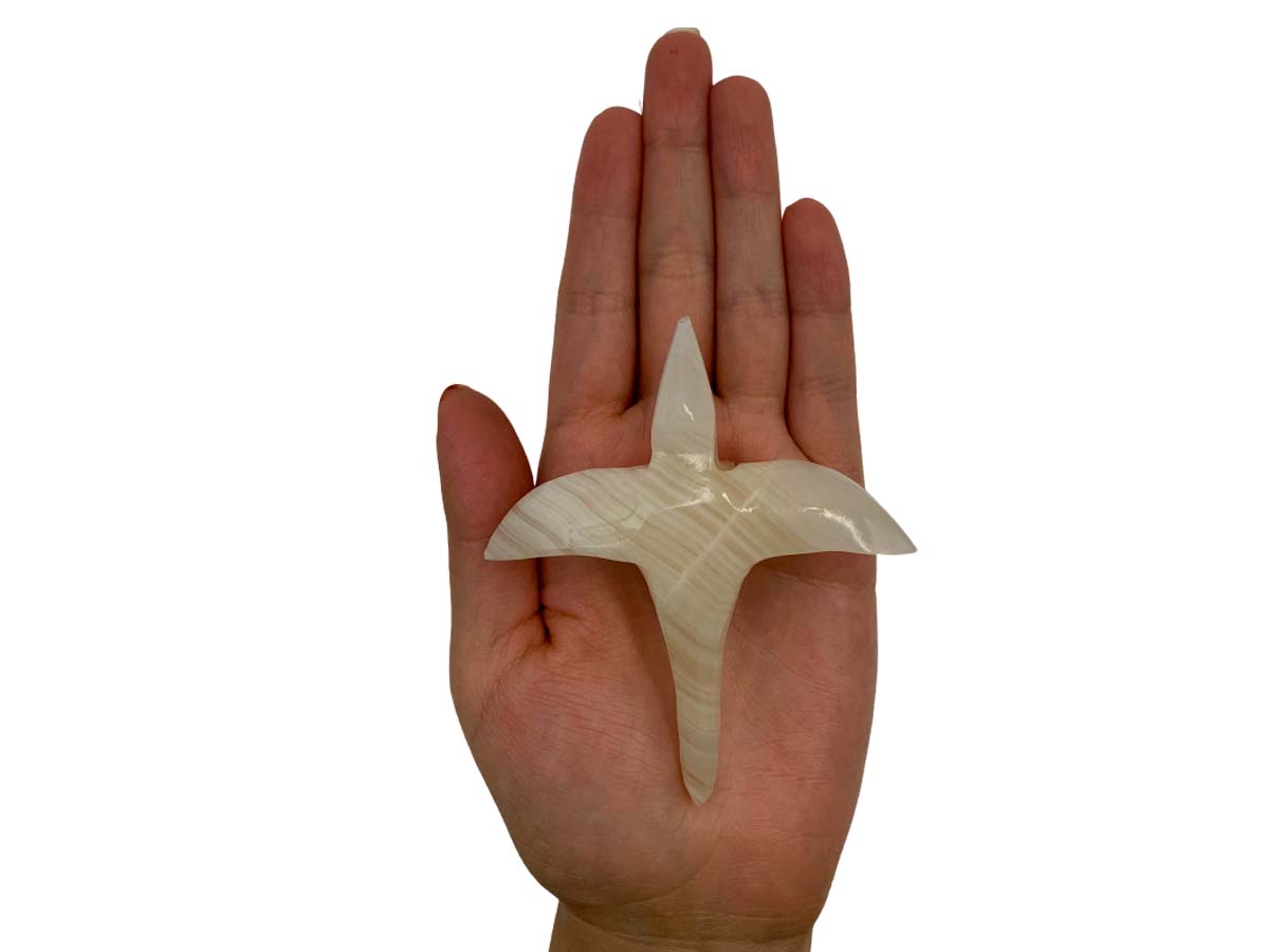 Onyx Pterodactyl