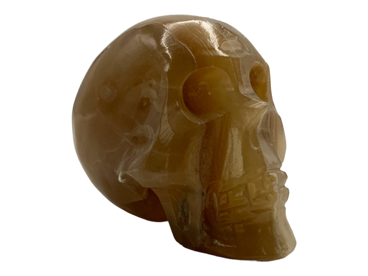 Amber Onyx Skull