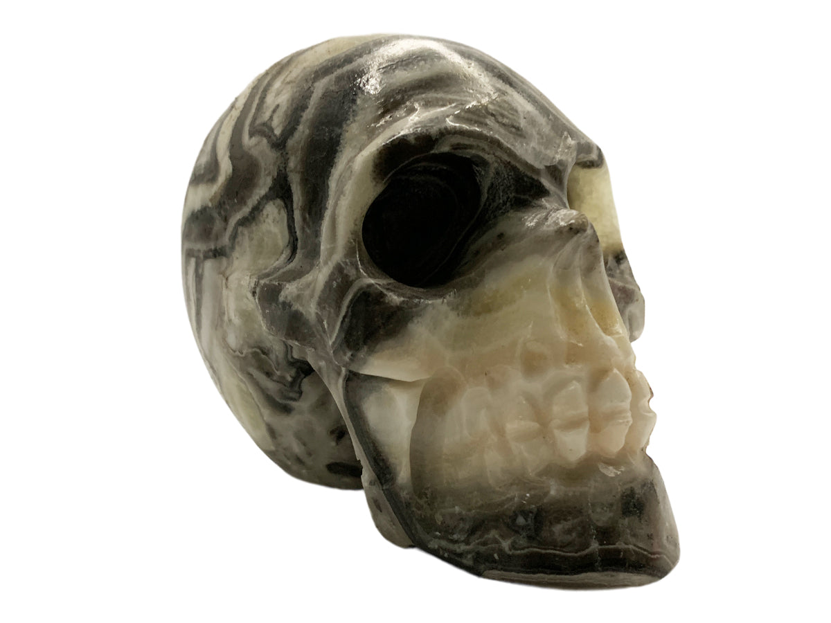 Zebra Onyx Skull