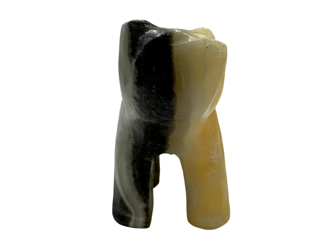 Zebra Onyx Grizzly Bear