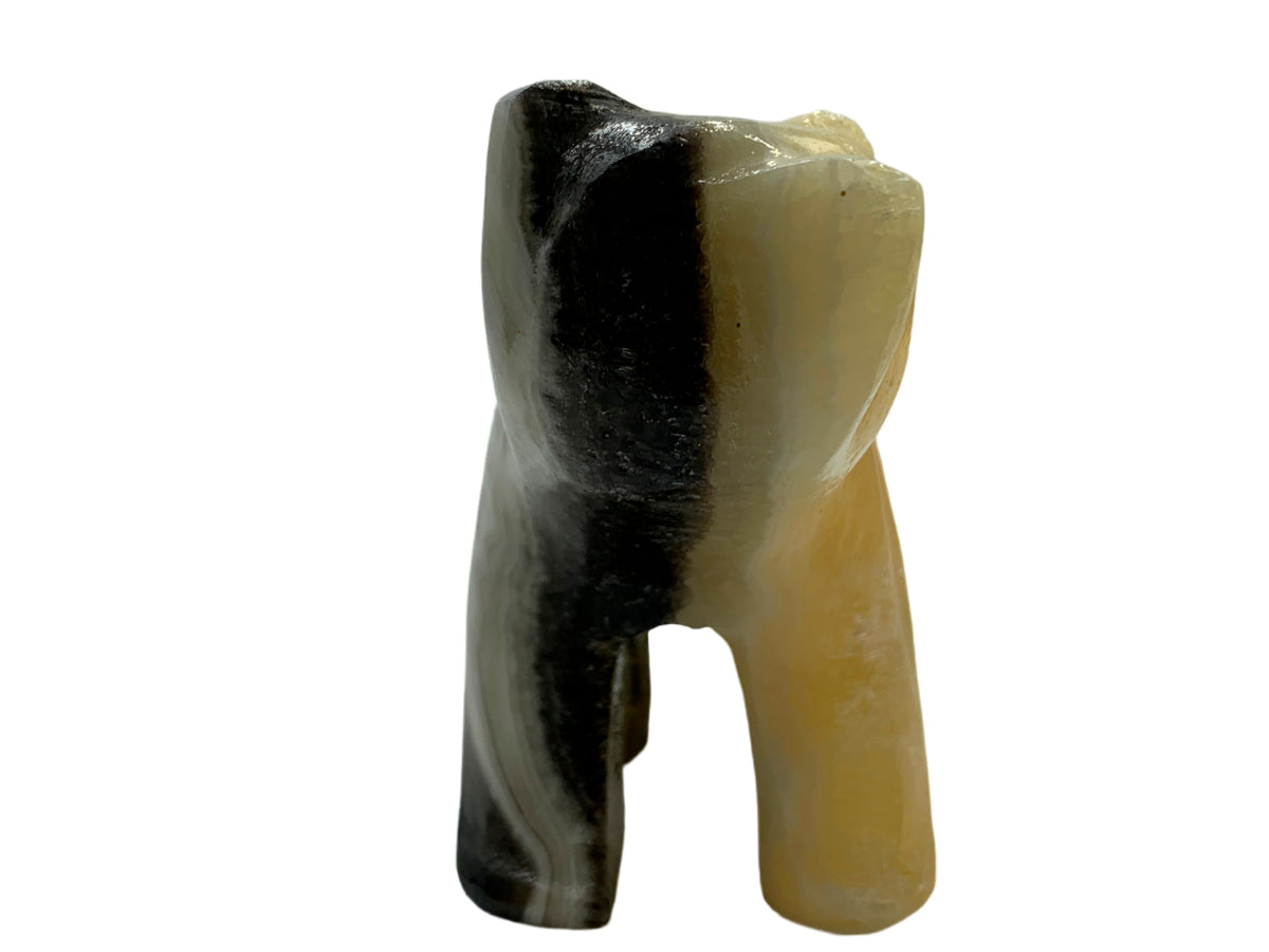 Zebra Onyx Grizzly Bear