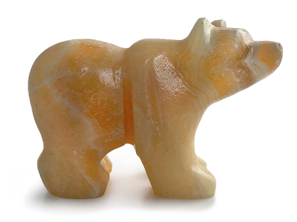 Honey Onyx Grizzly Bear