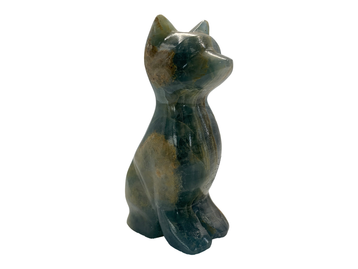 Blue Onyx Cat