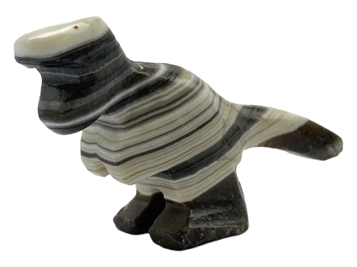 Zebra Onyx T-Rex