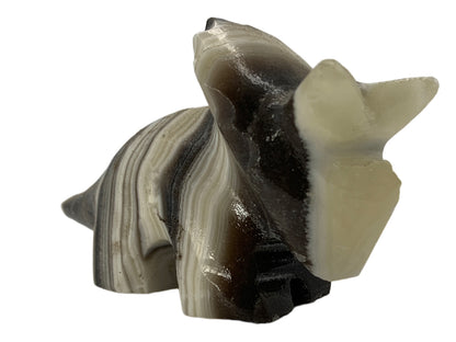 Zebra Onyx Triceratops