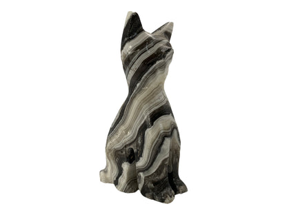 Zebra Onyx Cat