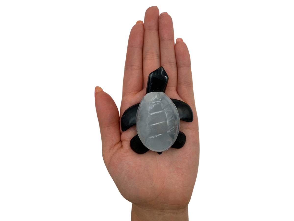 Small Black Onyx Sea Turtle with Shell