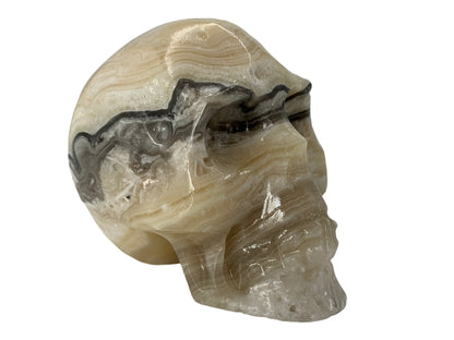 Zebra Onyx Skull