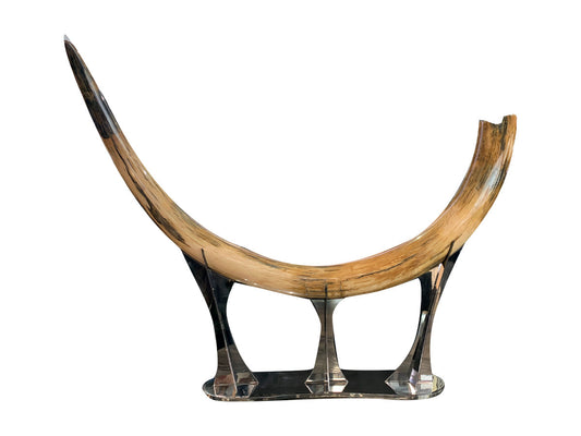 Fossil mammoth tusk Stainless steel base