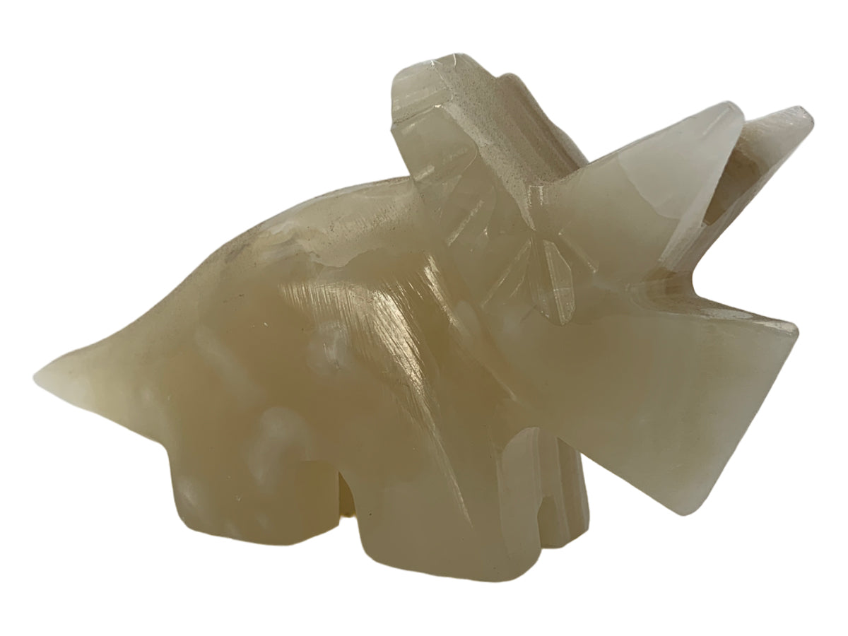 Amber Onyx Triceratops