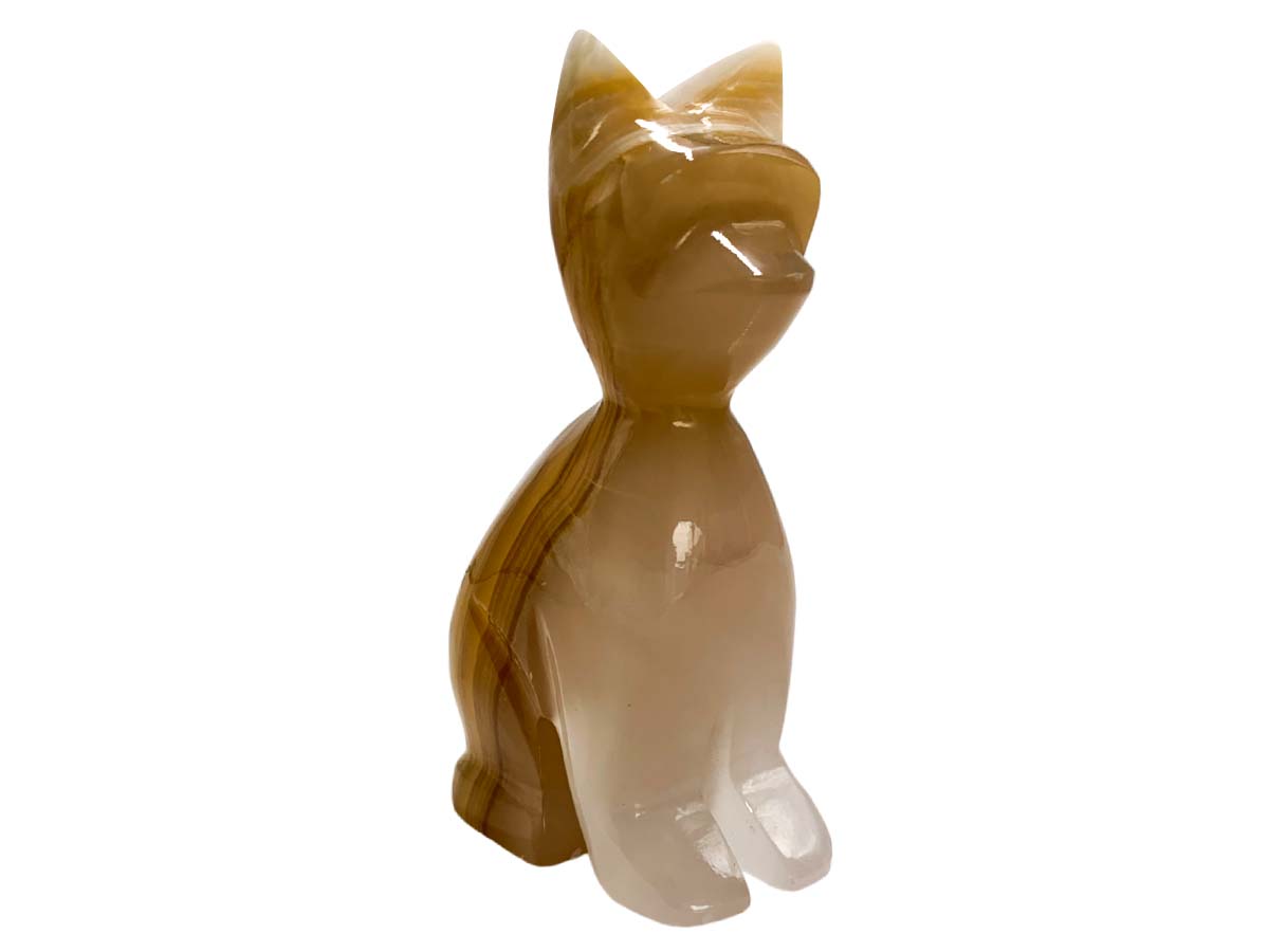 Amber Onyx Cat