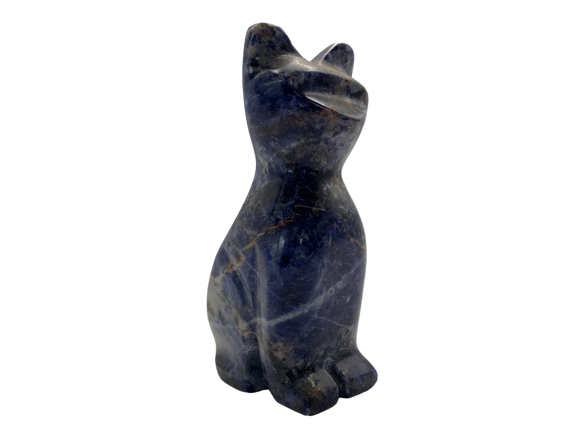 Sodalite Cat