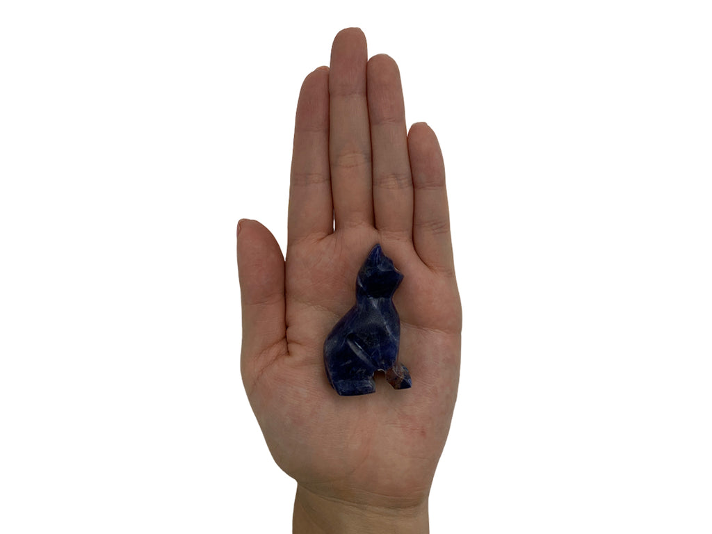 Sodalite Cat