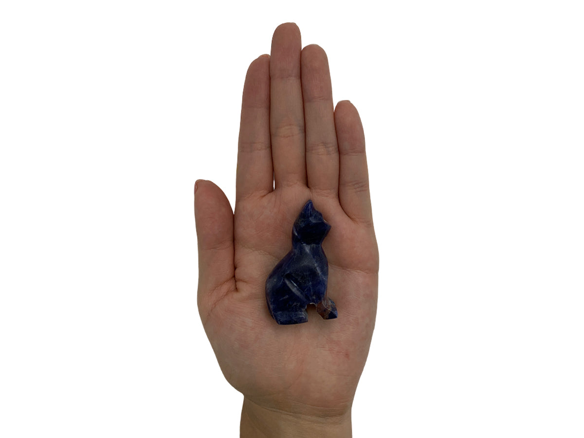 Sodalite Cat