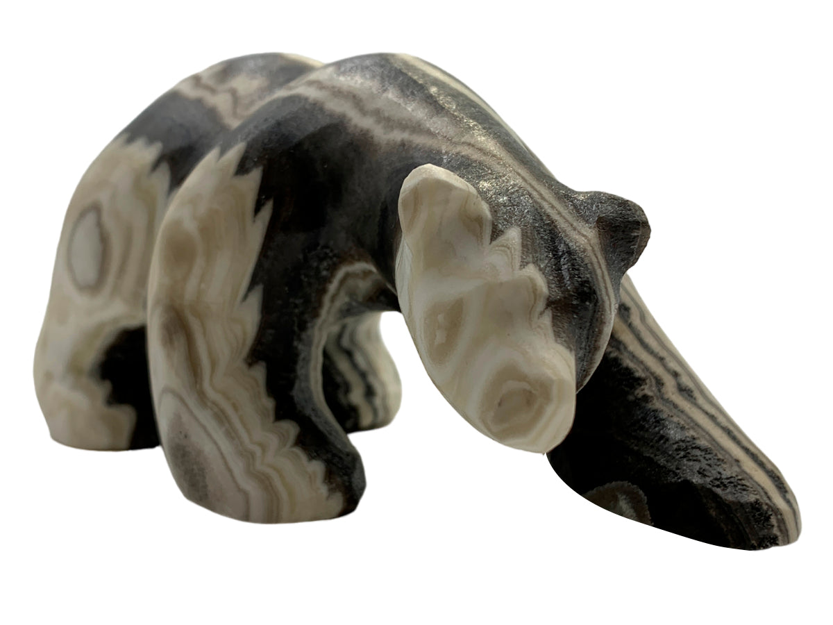 Zebra Onyx Polar Bear