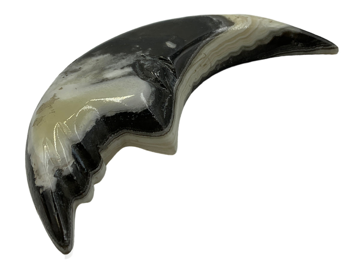 Zebra Onyx Half Moon Face