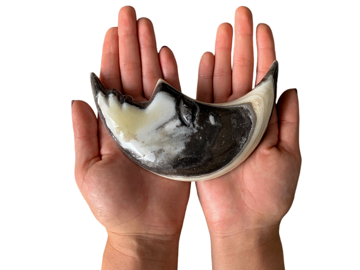 Zebra Onyx Half Moon Face