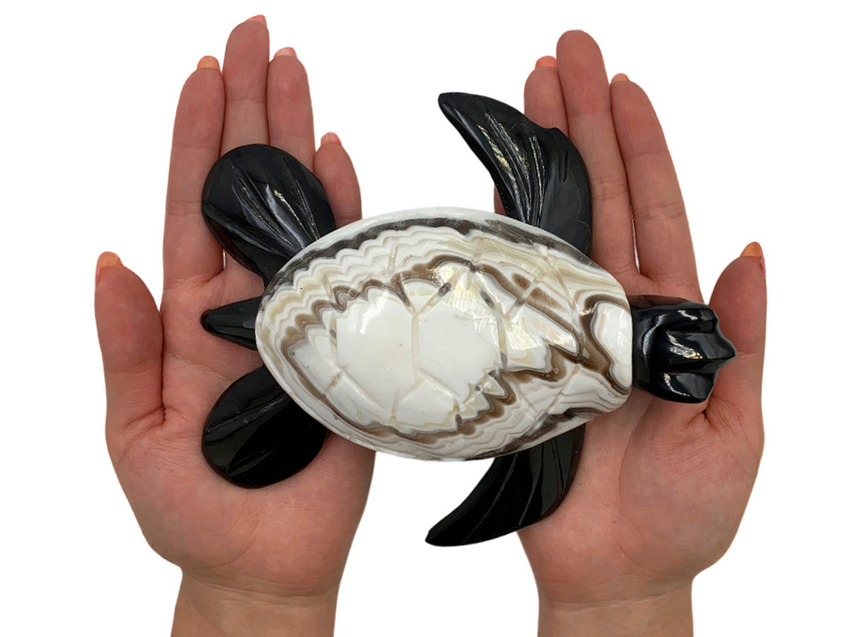 Large Black Onyx Sea Turtle with Shell