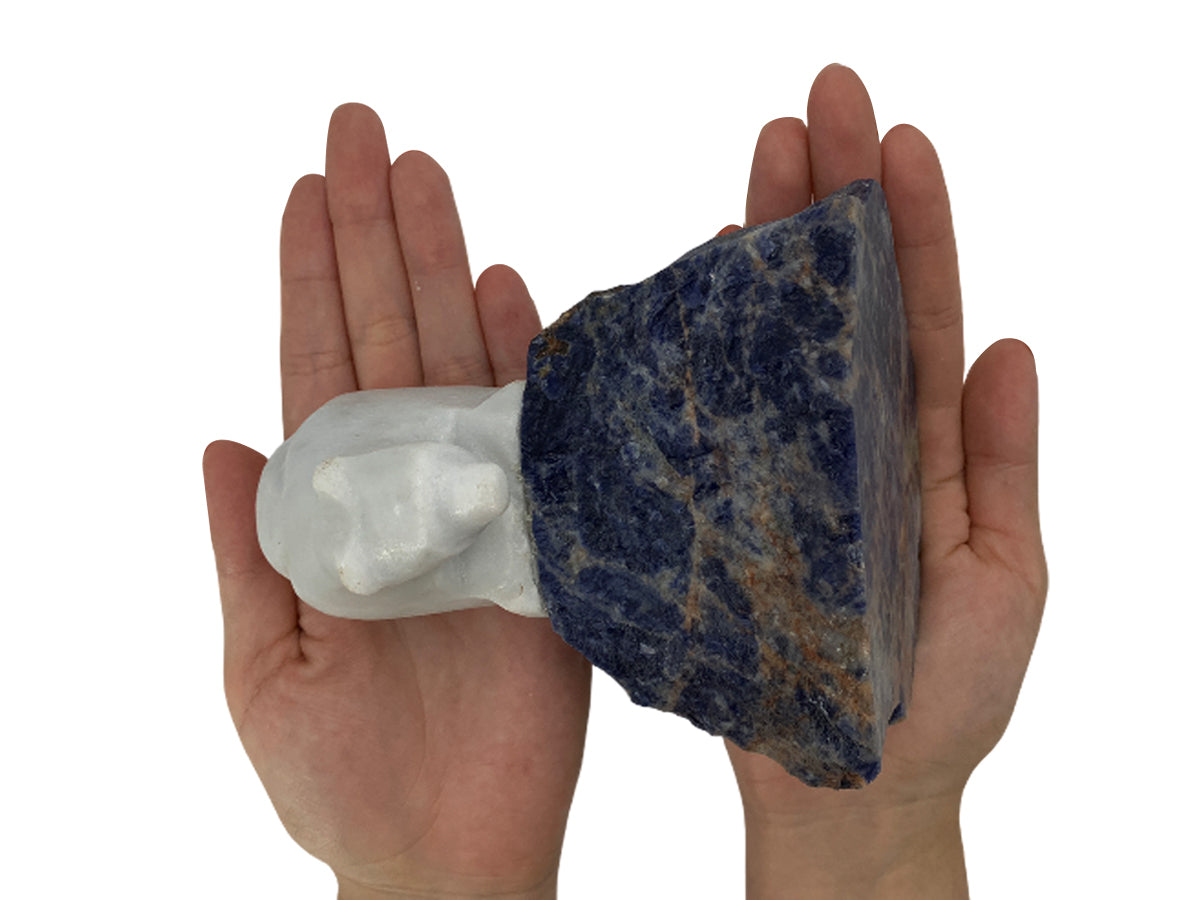 White Marble Polar Bear w/ Sodalite Base