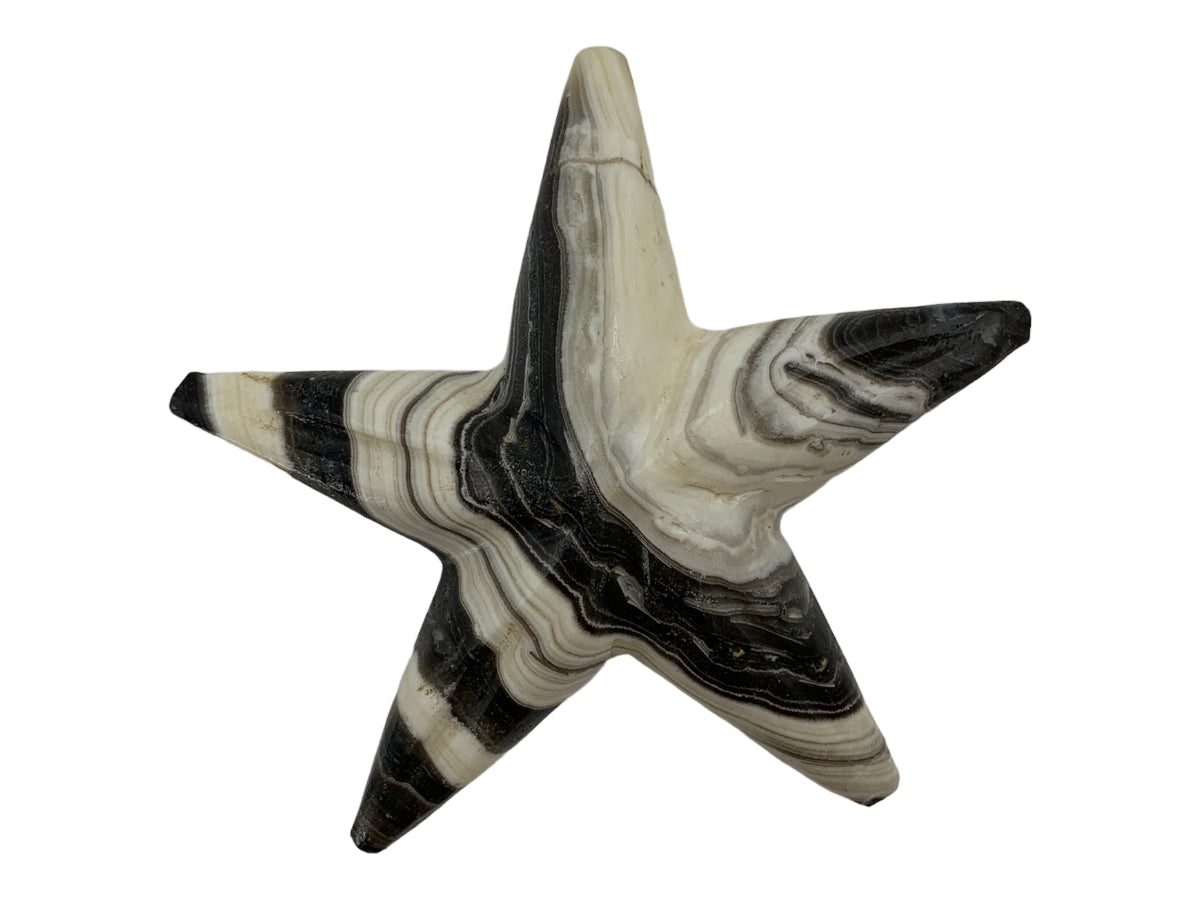 Zebra Onyx Star Fish