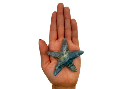 Blue Onyx Star Fish