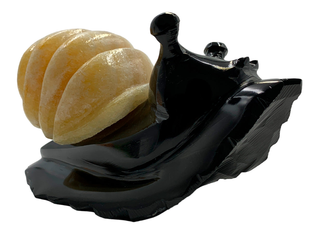 Black Marble Snail W/ Zebra Onyx Shell model 1