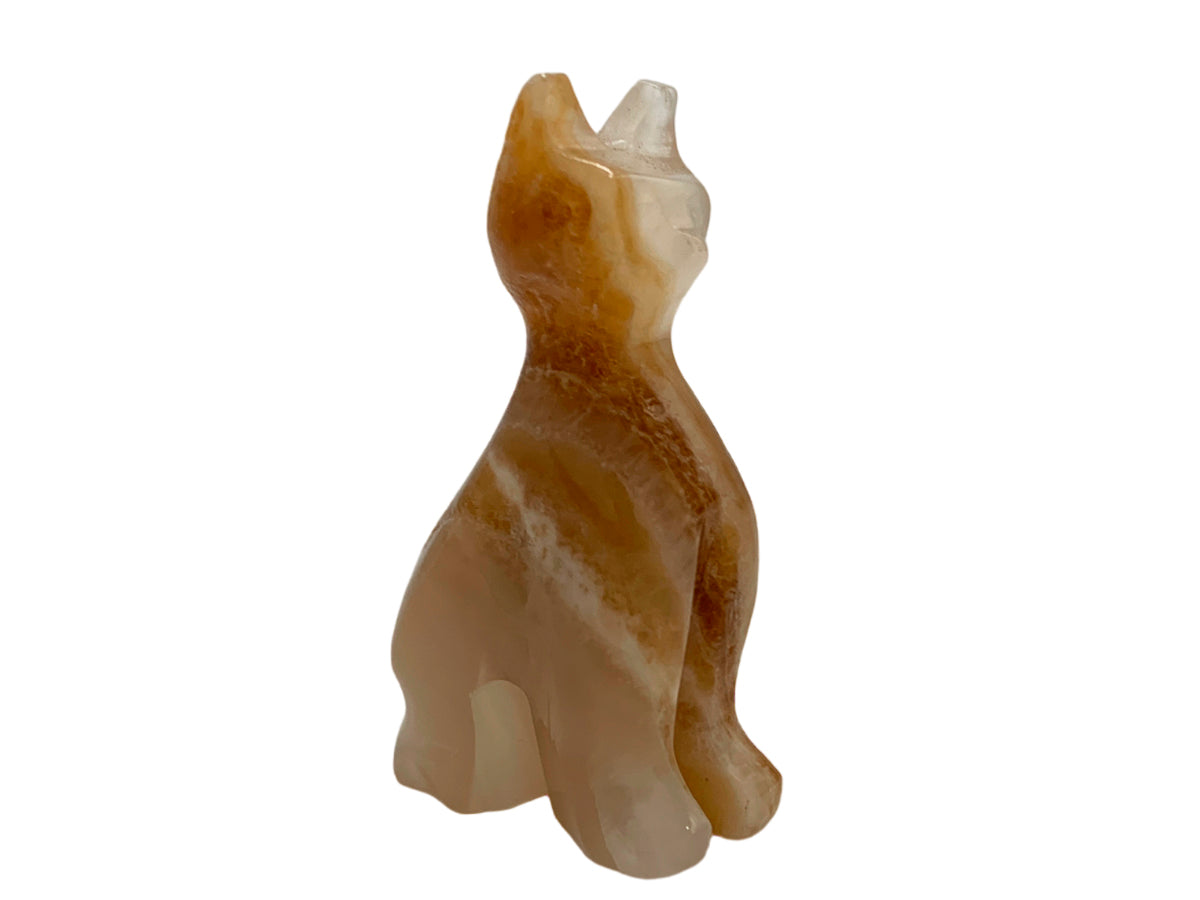 Amber Onyx Cat