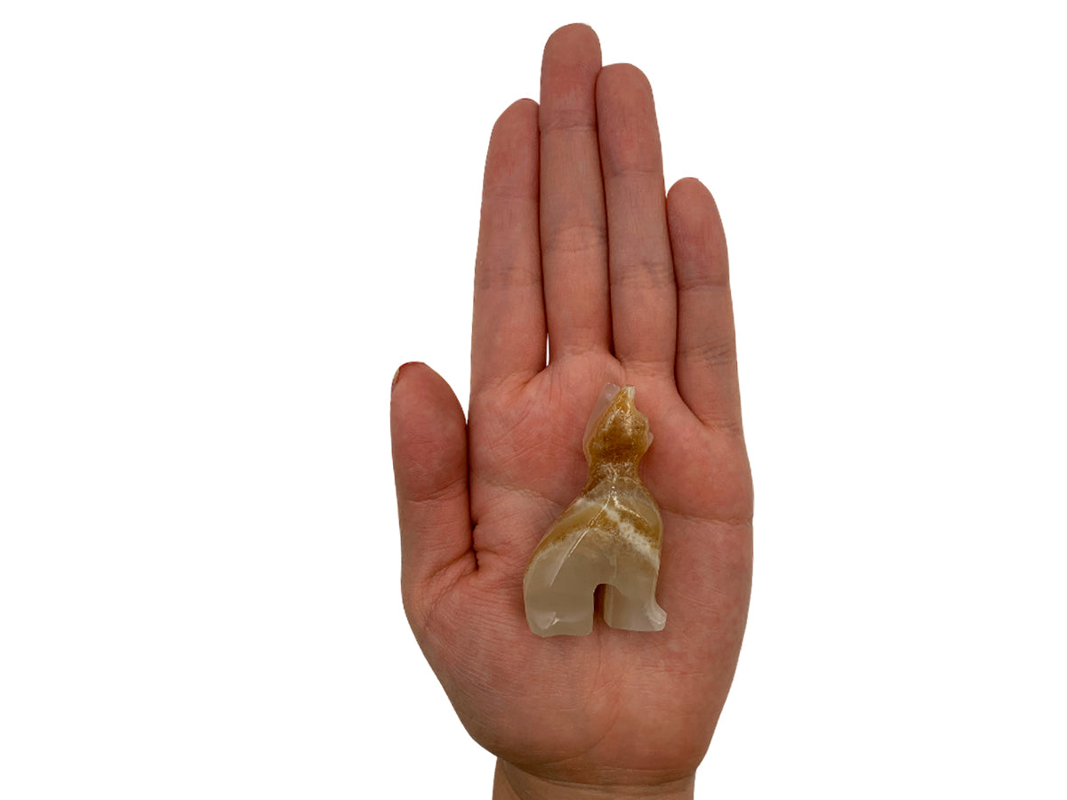 Amber Onyx Cat