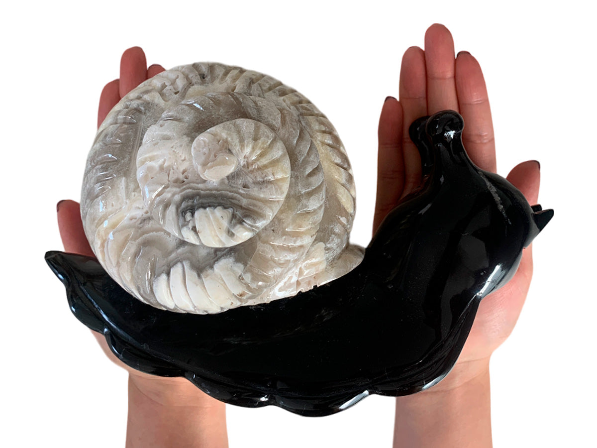 Black Marble Snail W/ Zebra Onyx Shell Model 2