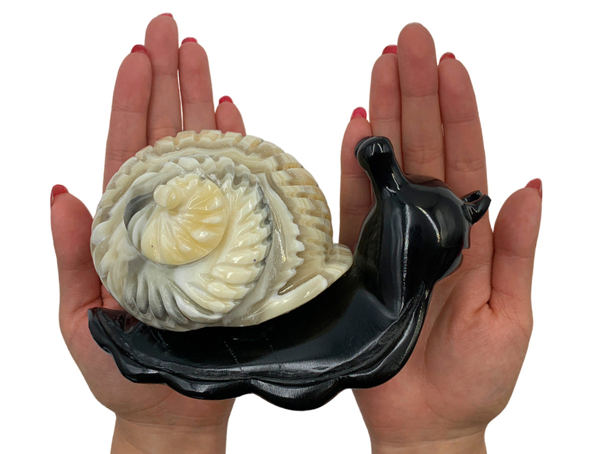 Black Marble Snail W/ Zebra Onyx Shell Model 2
