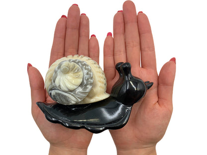 Black Marble Snail W/ Zebra Onyx Shell Model 2