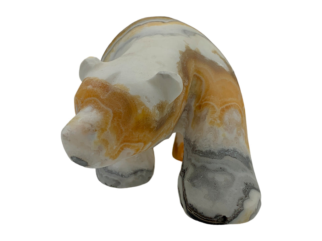 Zebra Calcite Polar Bear