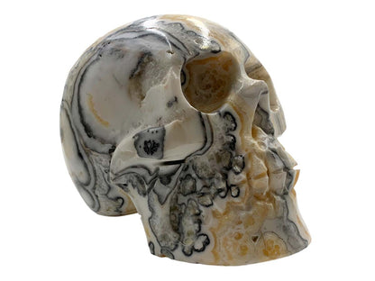 Zebra Calcite Skull