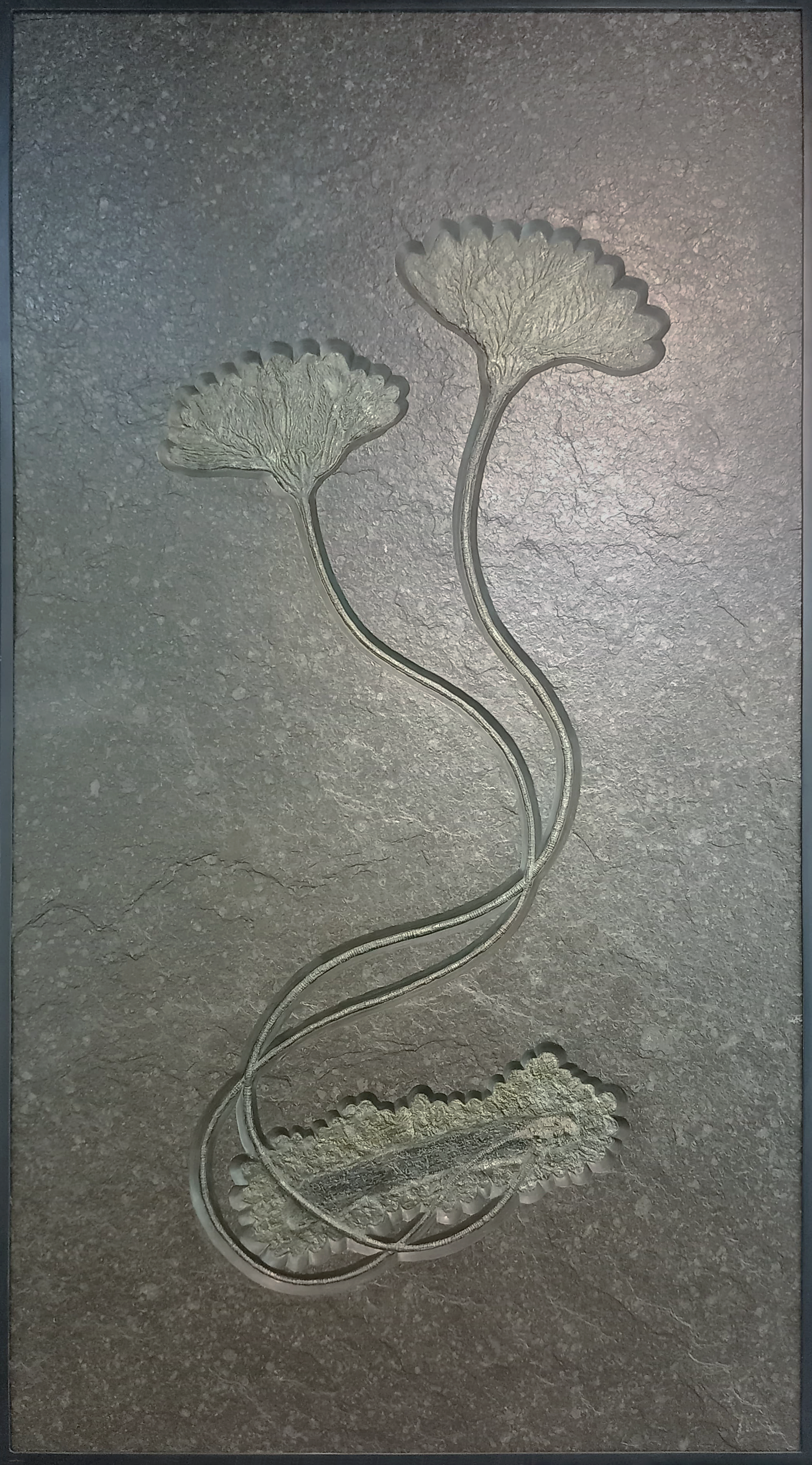 Fossil crinoid plate 63x33.5 in.