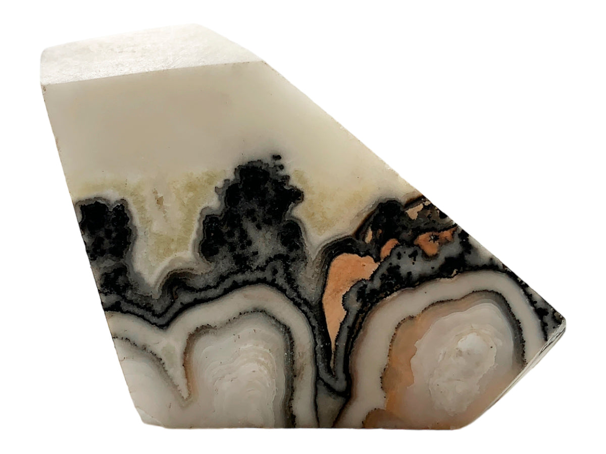 Zebra Free Forms Faceted By Kilo