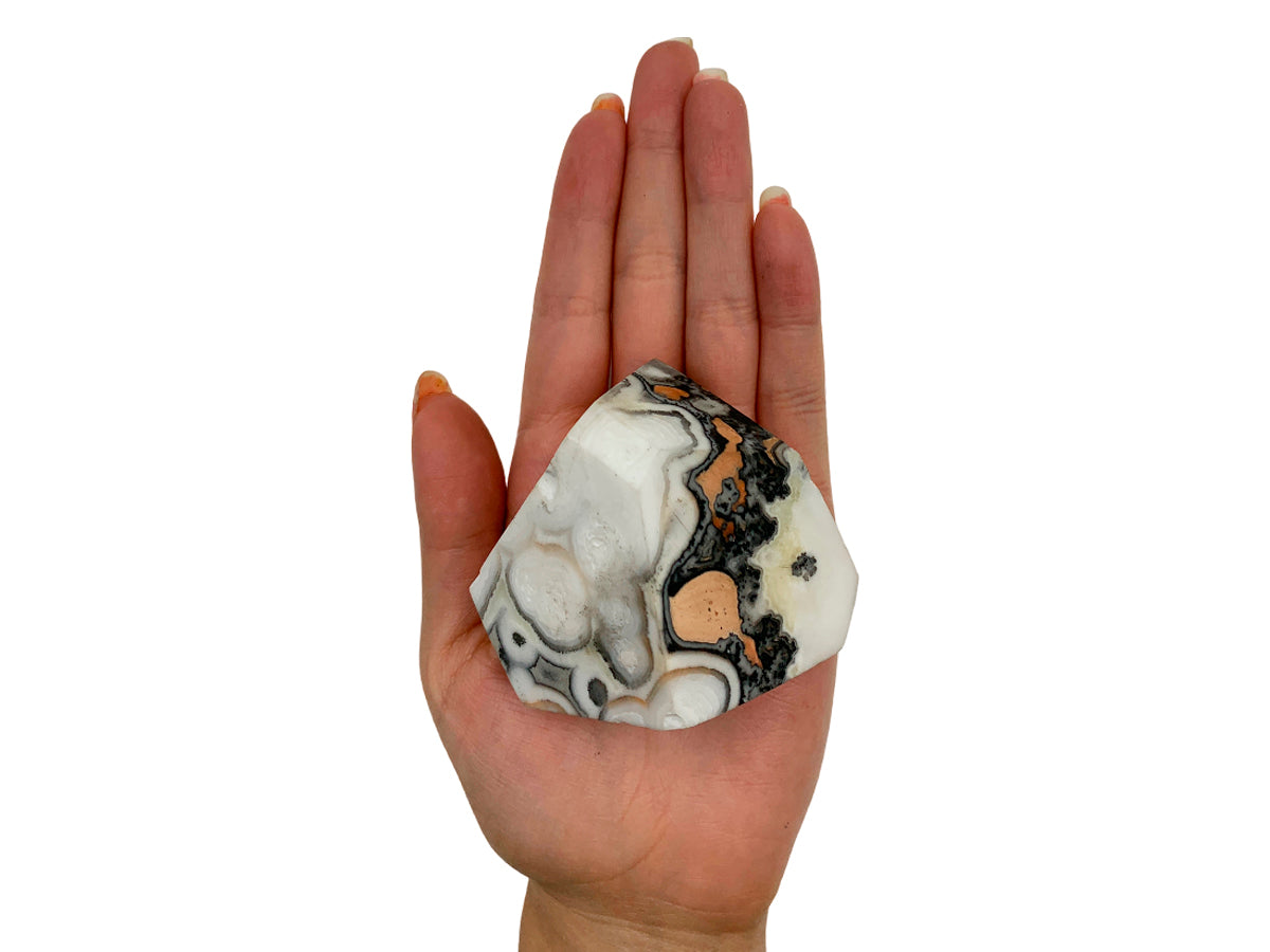 Zebra Free Forms Faceted By Kilo