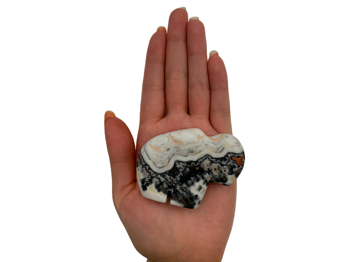 Small Onyx Buffalo