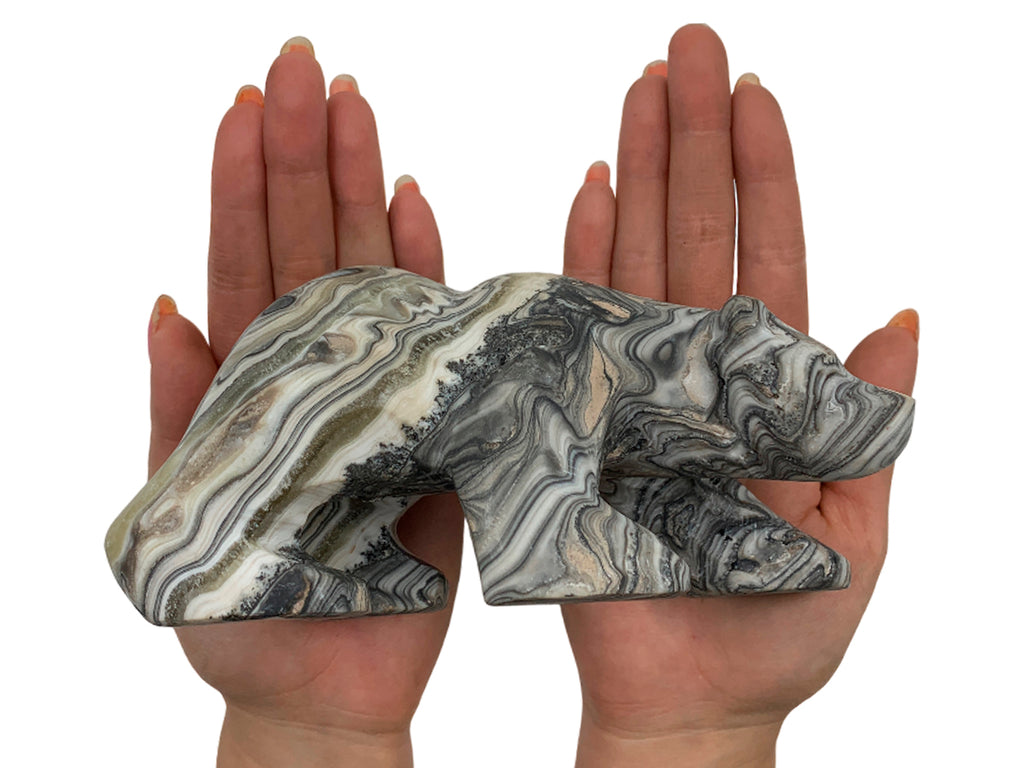 Gray Onyx Zebra Polar Bear