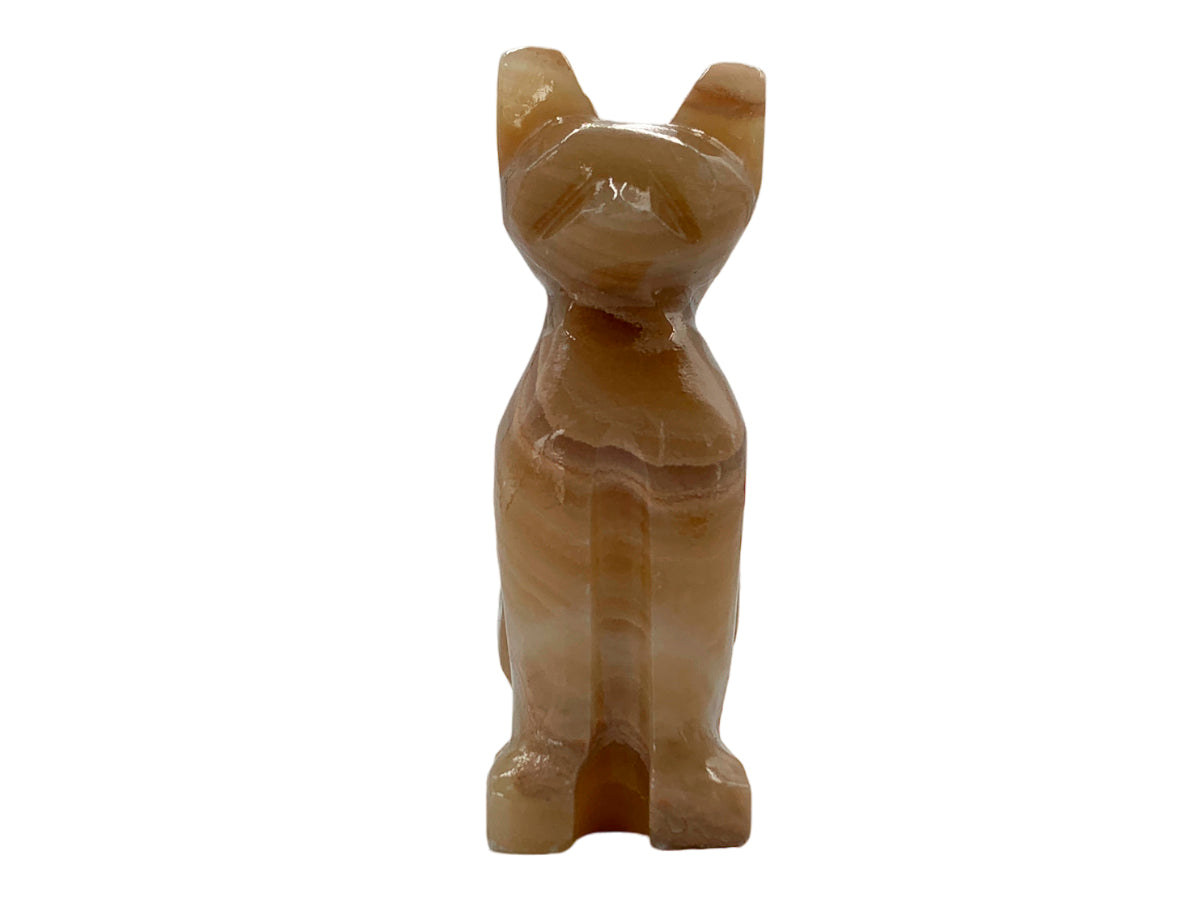 Brown Onyx Cat