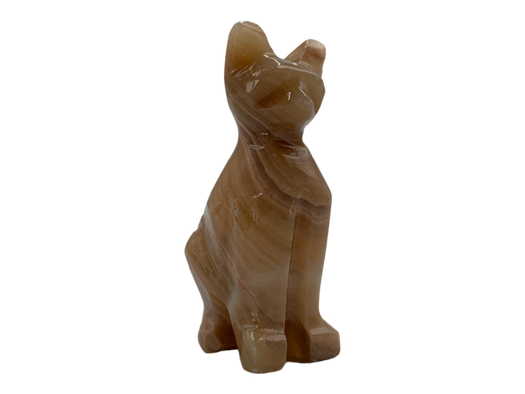Brown Onyx Cat