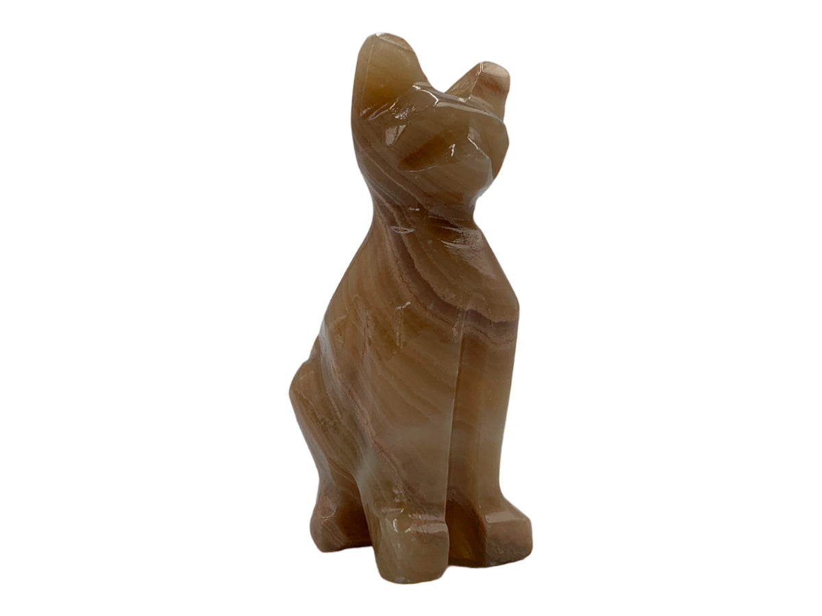 Brown Onyx Cat
