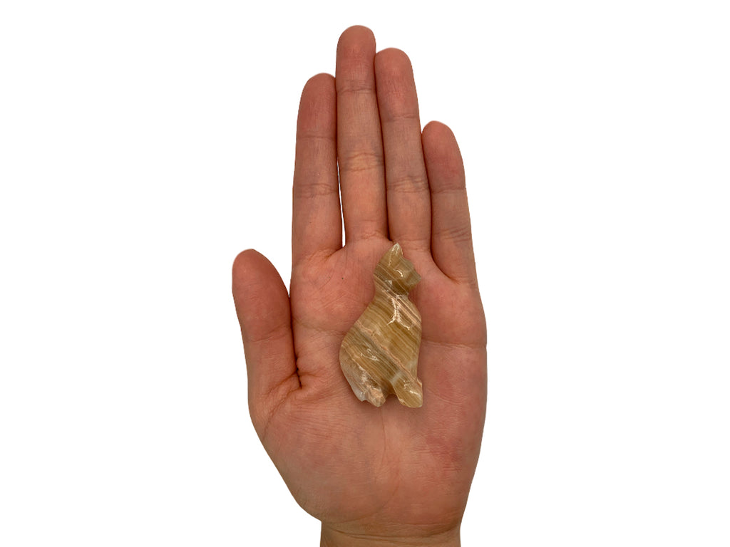 Brown Onyx Cat