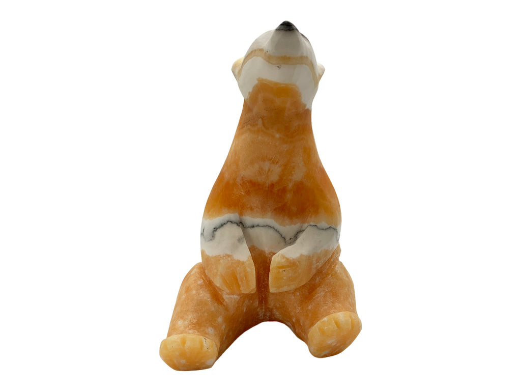 Zebra Calcite Sitting Polar Bear